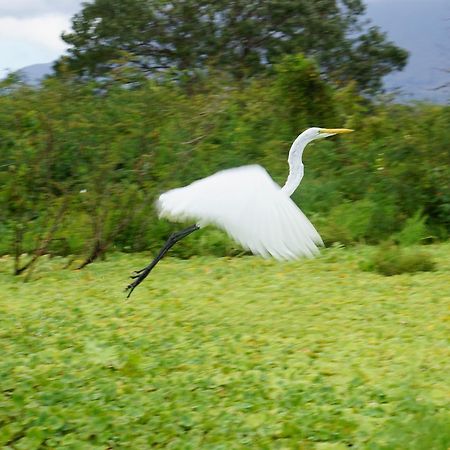 Hostal Y Restaurante Rancho Mérida Kültér fotó